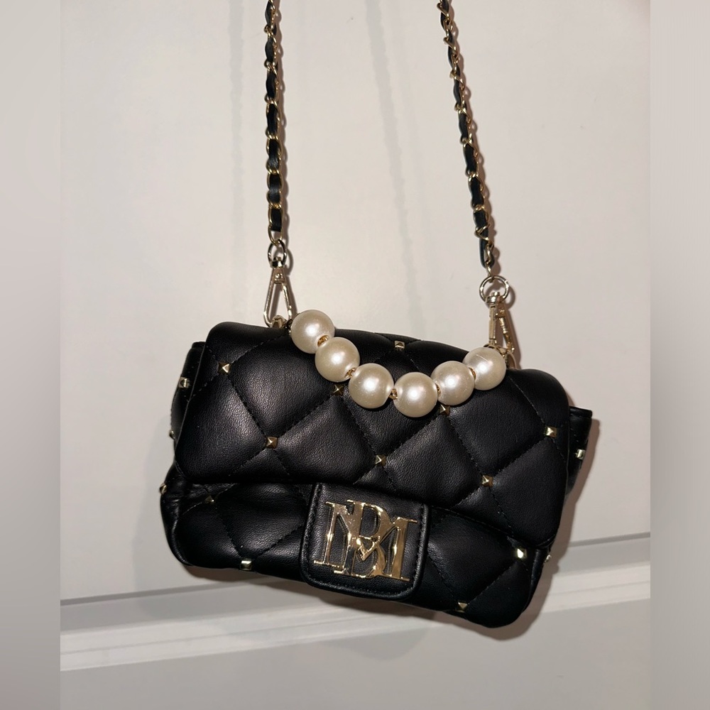 Badgley mischka purse